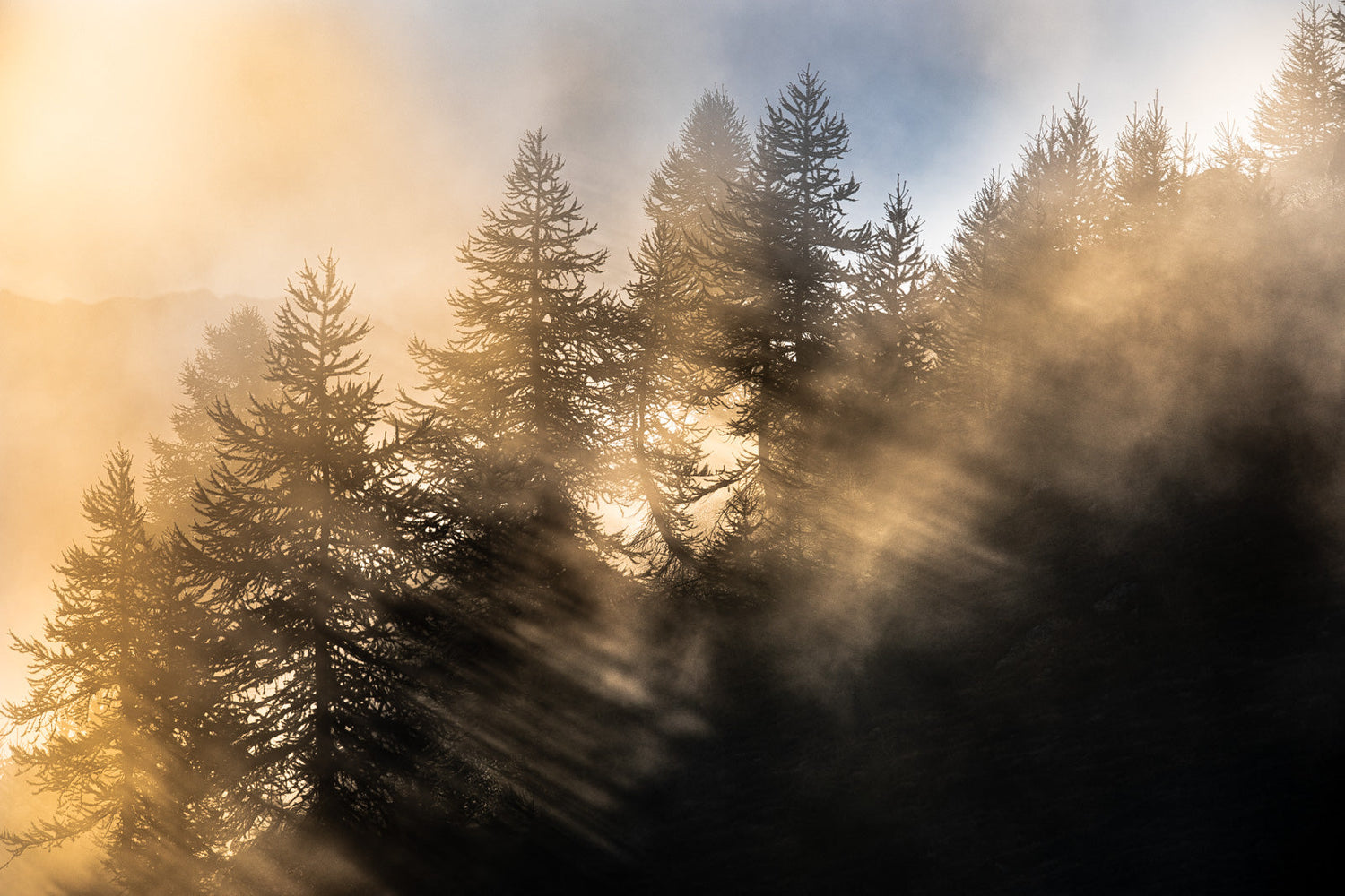 Les photographies de paysages